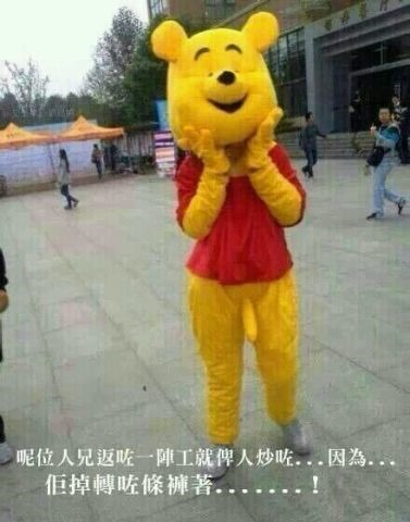 [Winnie-the-Poo-costume2.jpg]