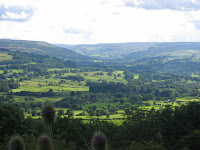 YRK0-11_AP_Wensleydale.JPG
