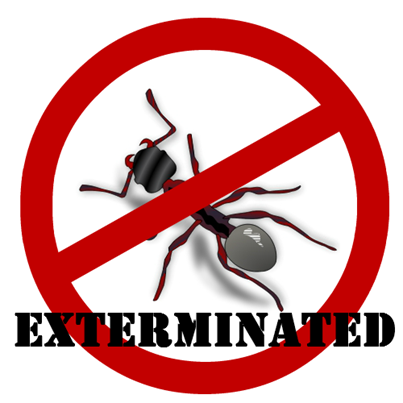 Exterminated Ants Exterminated Ants