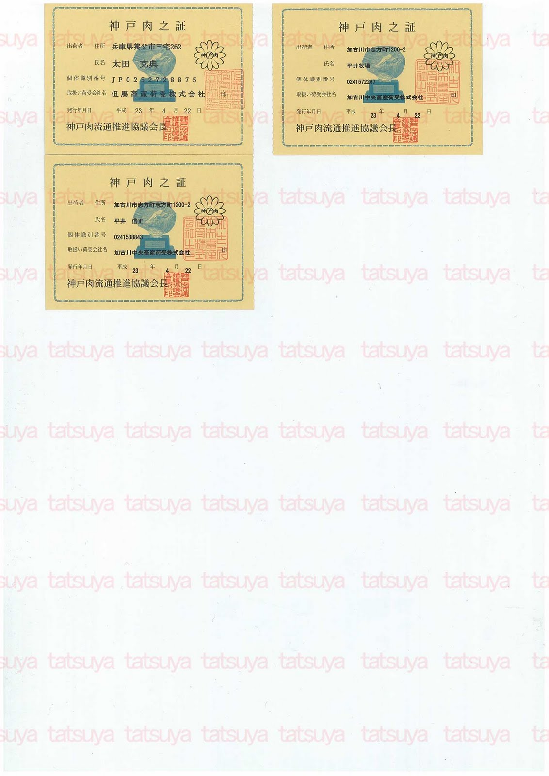 [LOT-11052001-%25232.jpg]