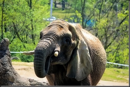 Pittsburgh Zoo 16