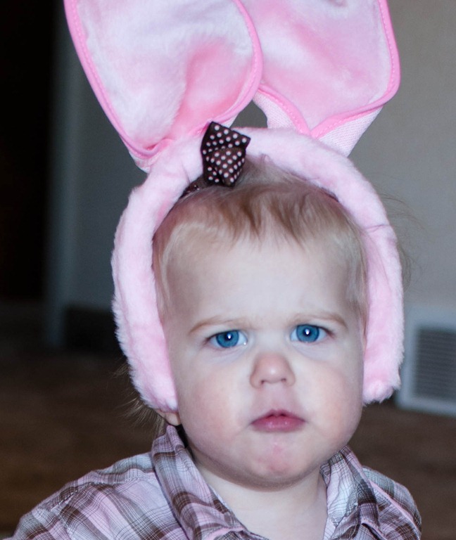 [20120406-20120406-DSC_9921%255B7%255D.jpg]