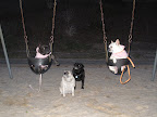 Uhh - Excuse us, Frenchies, but do you think we may have a turn?