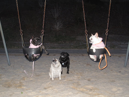 Uhh - Excuse us, Frenchies, but do you think we may have a turn?