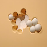 Double or Nothing - Double%252520or%252520Nothing%252520010.jpg