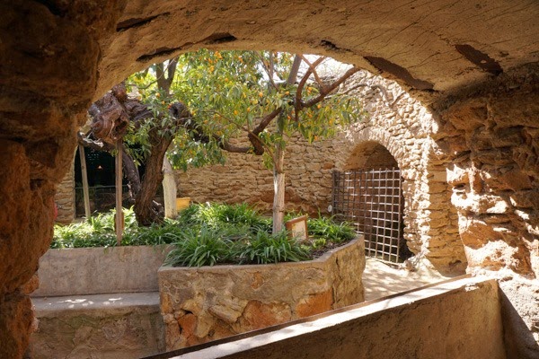 [20150314-DSC00391%255B4%255D.jpg]