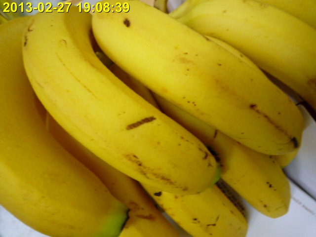 P1010134