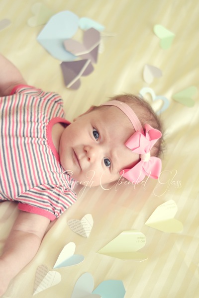 DSC_0928blog.jpg DSC 0928blog