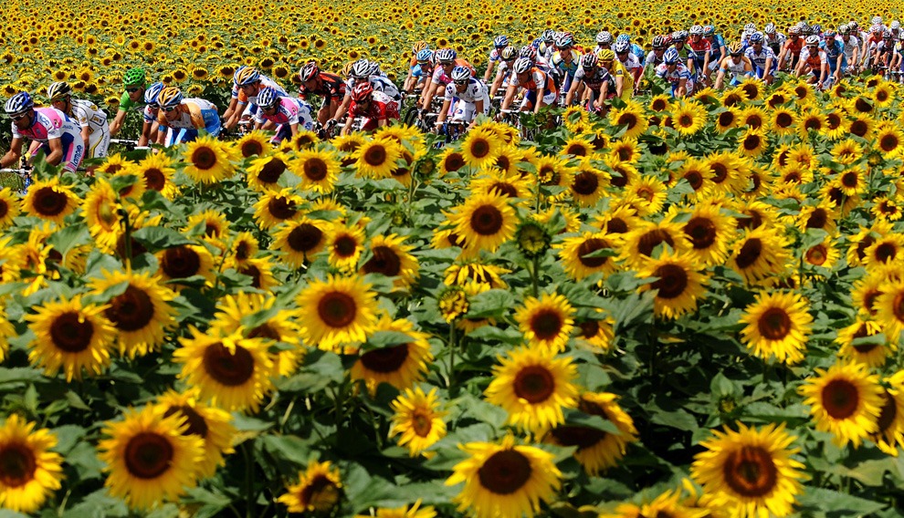 [tour-de-france-scenery1%255B4%255D.jpg]