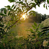 IMG_1658.JPG