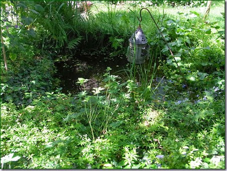 tuin6 tuin6