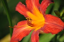 DSC_1080.JPG