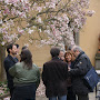 DSC01390.JPG