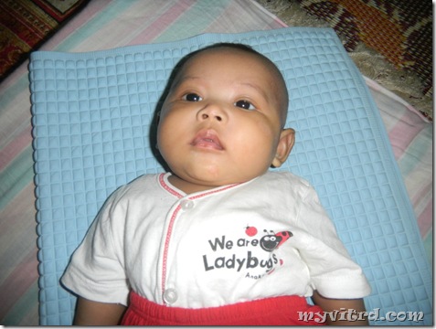 myvitrd junior 2