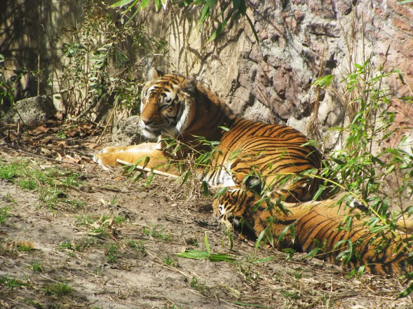 IMG_3889.jpg