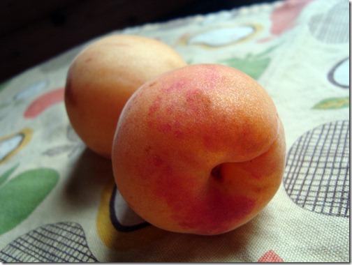 apricots