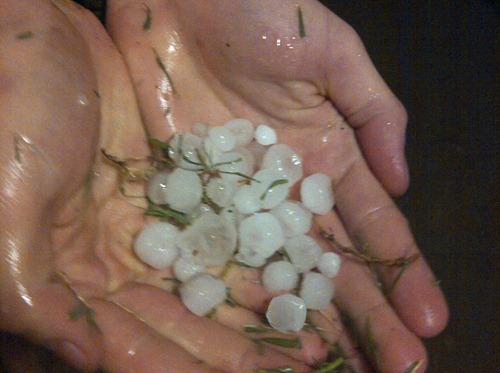 IMG-20120614-06704