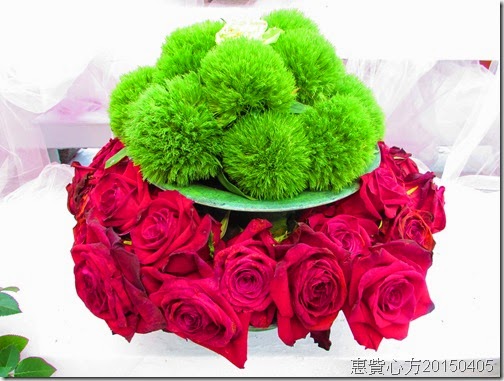 IMG_1493 IMG_1493