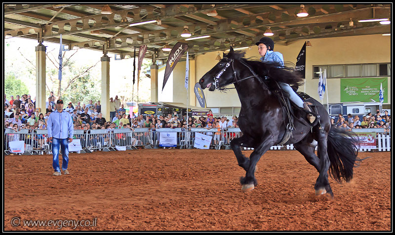 il/Фото: Stallion Show 2011 (20110416 stllion show 094 2446)
