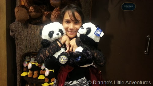 hong kong, ocean park, family, love, panda, panda plushie, cute