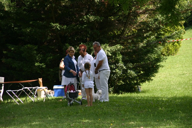 [IMG_62275.jpg]