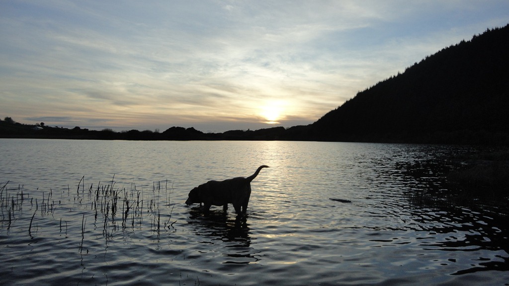 [14.Shepperton%2520Lakes%255B3%255D.jpg]