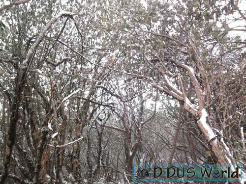 [Pathivarayatra843.jpg]