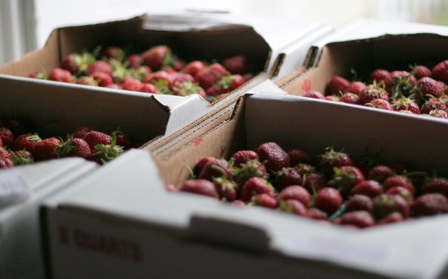 [strawberries-11.jpg]