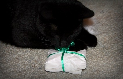 [IMG_2464send%255B5%255D.jpg]