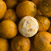 281 Day 2 Oranges.jpg