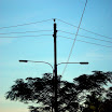 DSCN9343.JPG