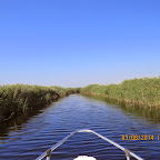 IMG_5655.JPG