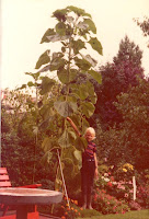 Groeneweg, Ronald 15-07-1975.jpg