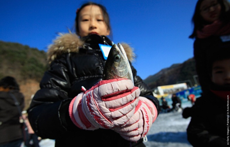 hwacheon-ice-festival-12 hwacheon-ice-festival-12