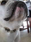 I get to wear this great necklace!!!  Doesn't it look great on me?
