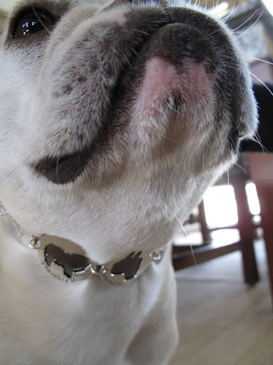 I get to wear this great necklace!!!  Doesn't it look great on me?