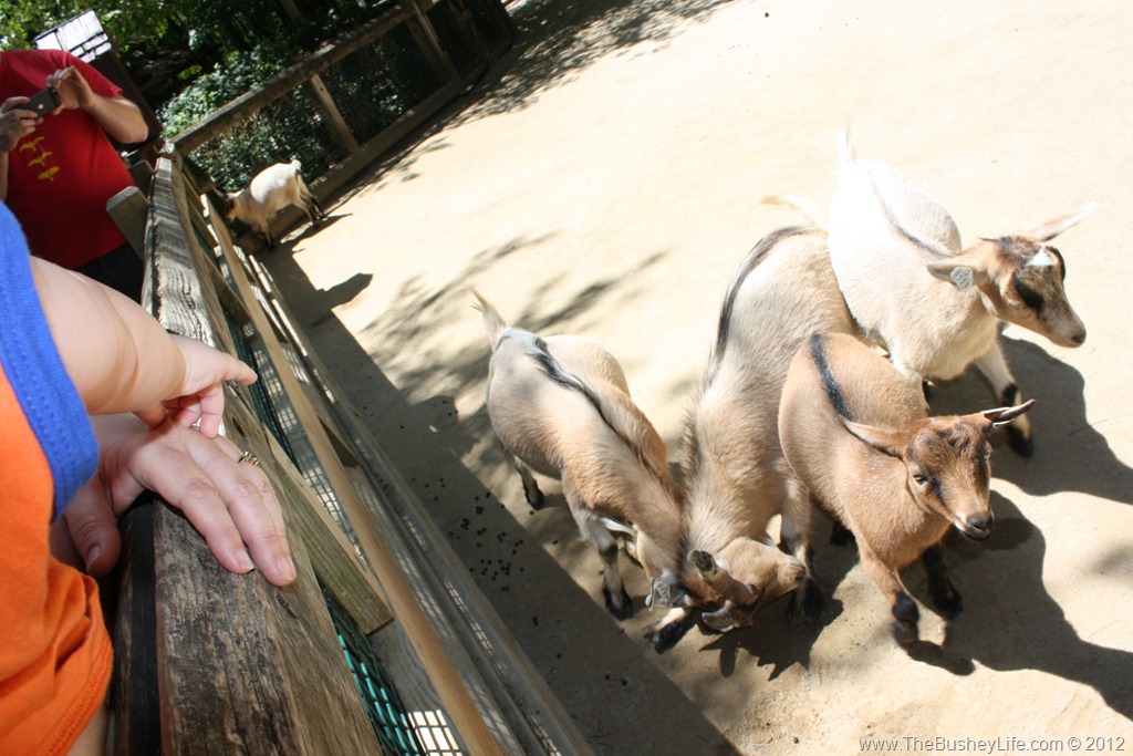 [IMG_0819%255B10%255D.jpg]