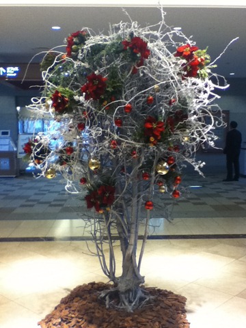 [IMG_0434%255B3%255D.jpg]