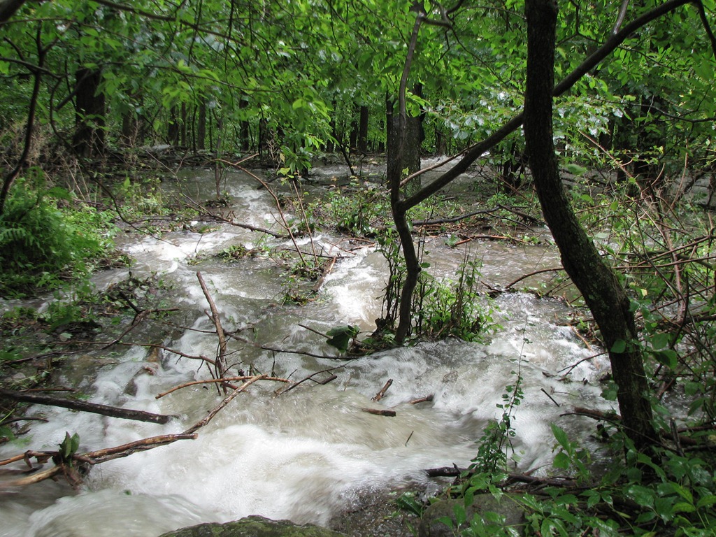 [IMG_74513.jpg]