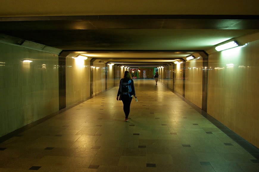 IMGP9097.jpg