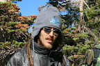 glacier_national_park_-_2009