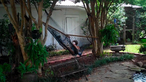 Swinging in the cypress trees