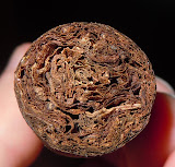 DSCN1425.JPG