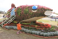IMG_6672 IMG_6672