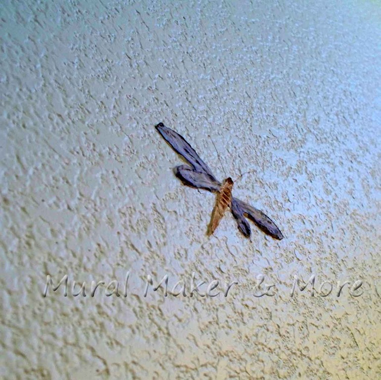 [dragonfly-wall-embellishmen%255B3%255D.jpg]