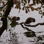 20100815_112_small.JPG