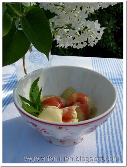 rabarbrasorbet, vaniljeis og rabarbrasirup