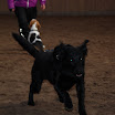 jan-feb 2010 109.JPG