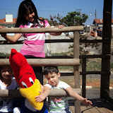 DSC08106.JPG