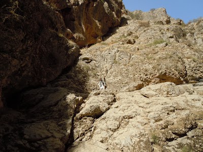 DSCN3931.jpg